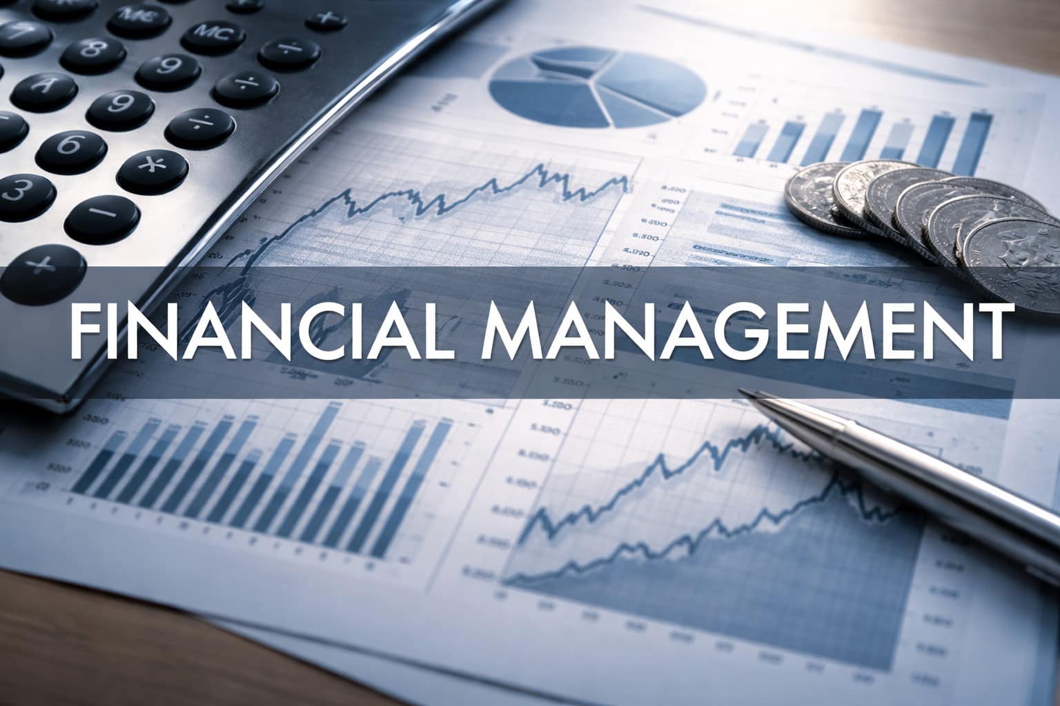 Russia & CIS Re-Entry Strategy – Interim Management Finance